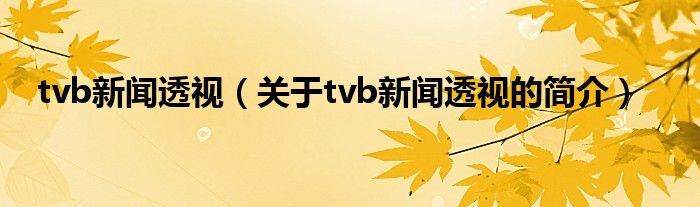 tvb新聞透視（關(guān)于tvb新聞透視的簡介）