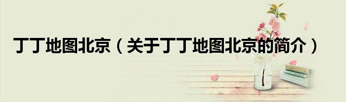 丁丁地圖北京（關(guān)于丁丁地圖北京的簡(jiǎn)介）