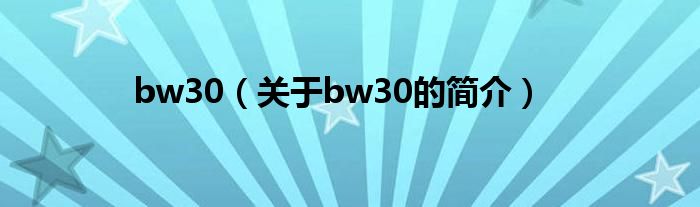 bw30（關(guān)于bw30的簡介）