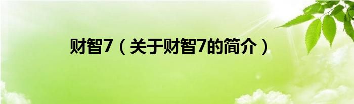 財智7（關于財智7的簡介）