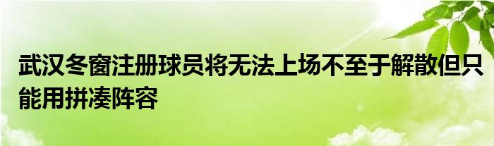 武漢冬窗注冊(cè)球員將無法上場(chǎng)不至于解散但只能用拼湊陣容