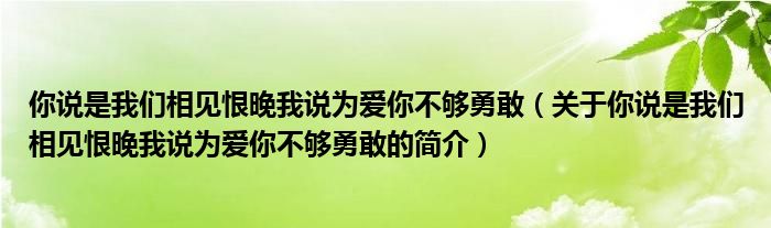 你說是我們相見恨晚我說為愛你不夠勇敢（關于你說是我們相見恨晚我說為愛你不夠勇敢的簡介）