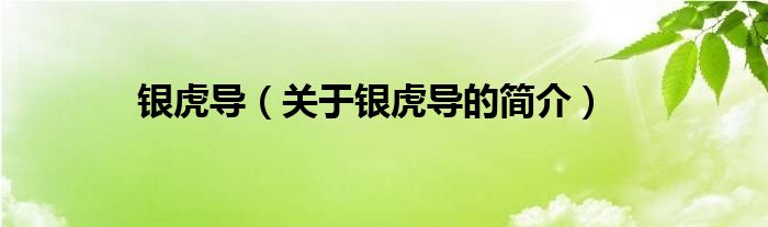 銀虎導(dǎo)（關(guān)于銀虎導(dǎo)的簡介）