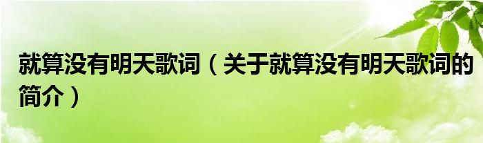 就算沒有明天歌詞（關(guān)于就算沒有明天歌詞的簡介）