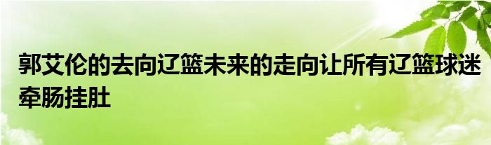 郭艾倫的去向遼籃未來的走向讓所有遼籃球迷牽腸掛肚