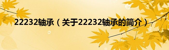 22232軸承（關(guān)于22232軸承的簡介）