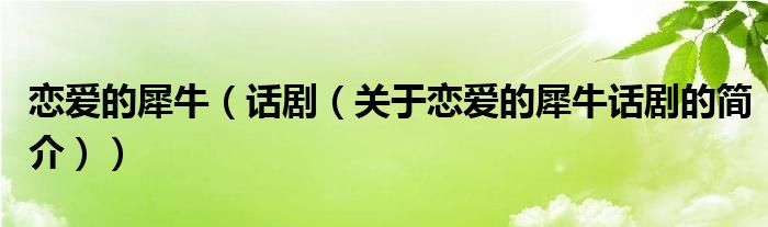 戀愛的犀牛（話?。P(guān)于戀愛的犀牛話劇的簡(jiǎn)介））