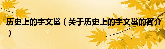 歷史上的宇文邕（關(guān)于歷史上的宇文邕的簡介）