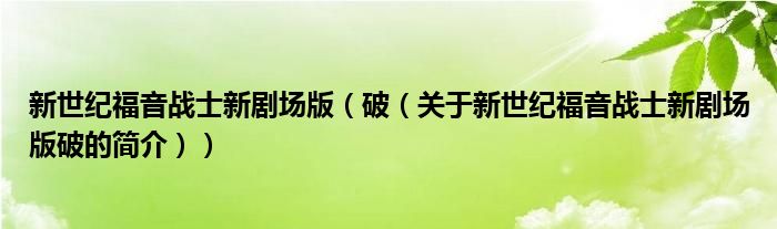 新世紀福音戰(zhàn)士新劇場版（破（關(guān)于新世紀福音戰(zhàn)士新劇場版破的簡介））