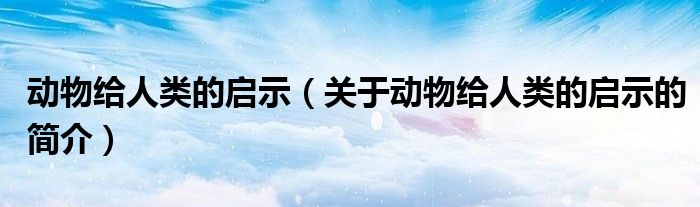 動物給人類的啟示（關(guān)于動物給人類的啟示的簡介）