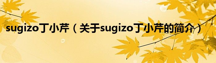 sugizo丁小芹（關(guān)于sugizo丁小芹的簡(jiǎn)介）