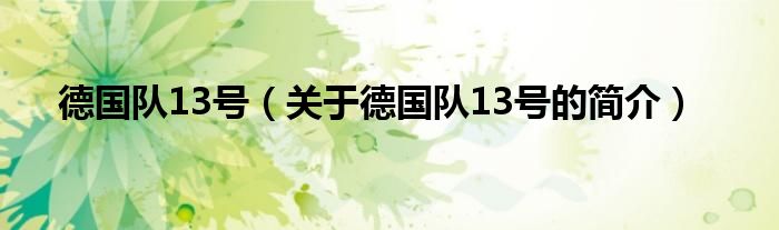 德國隊13號（關(guān)于德國隊13號的簡介）