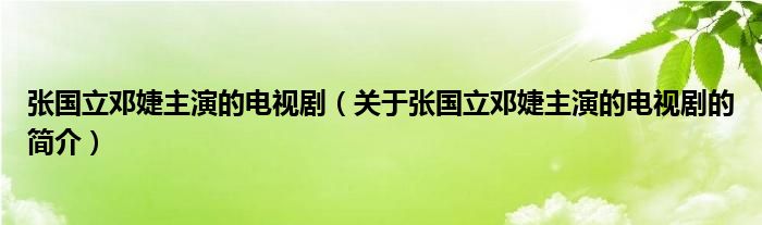 張國(guó)立鄧婕主演的電視?。P(guān)于張國(guó)立鄧婕主演的電視劇的簡(jiǎn)介）