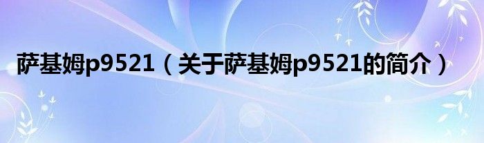 薩基姆p9521（關(guān)于薩基姆p9521的簡(jiǎn)介）