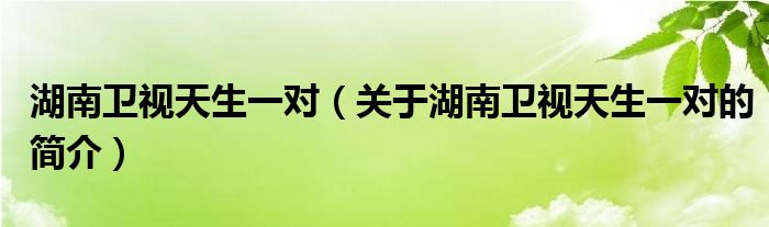 湖南衛(wèi)視天生一對（關于湖南衛(wèi)視天生一對的簡介）