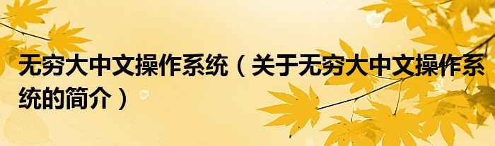 無窮大中文操作系統(tǒng)（關(guān)于無窮大中文操作系統(tǒng)的簡介）