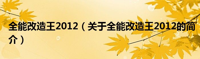 全能改造王2012（關(guān)于全能改造王2012的簡介）