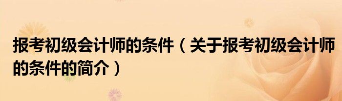 報考初級會計師的條件（關(guān)于報考初級會計師的條件的簡介）