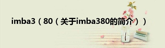 imba3（80（關(guān)于imba380的簡(jiǎn)介））