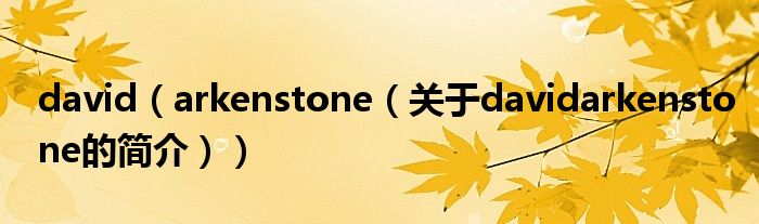 david（arkenstone（關于davidarkenstone的簡介））