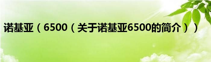 諾基亞（6500（關(guān)于諾基亞6500的簡介））