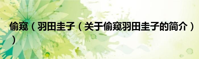 偷窺（羽田圭子（關(guān)于偷窺羽田圭子的簡(jiǎn)介））