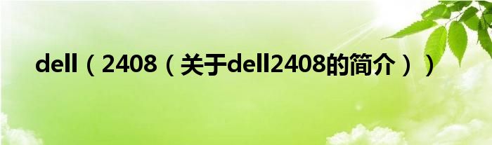 dell（2408（關(guān)于dell2408的簡介））