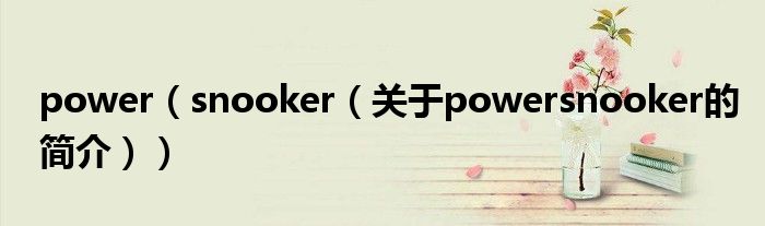 power（snooker（關(guān)于powersnooker的簡(jiǎn)介））