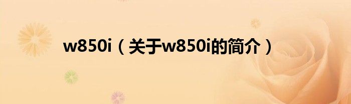 w850i（關(guān)于w850i的簡介）