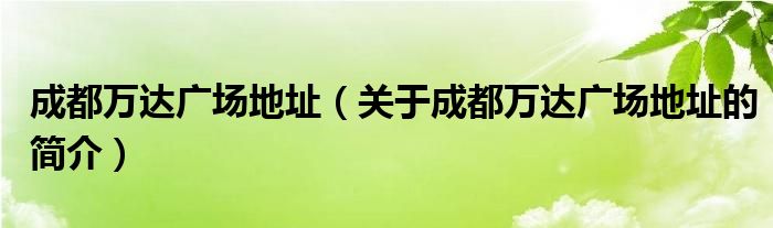 成都萬達(dá)廣場地址（關(guān)于成都萬達(dá)廣場地址的簡介）