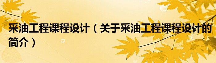 采油工程課程設(shè)計(jì)（關(guān)于采油工程課程設(shè)計(jì)的簡介）