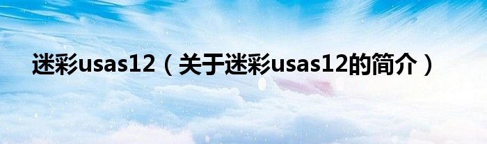 迷彩usas12（關(guān)于迷彩usas12的簡(jiǎn)介）