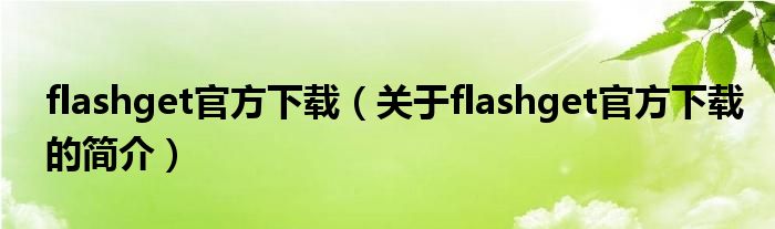 flashget官方下載（關于flashget官方下載的簡介）