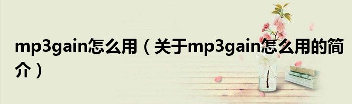 mp3gain怎么用（關(guān)于mp3gain怎么用的簡介）