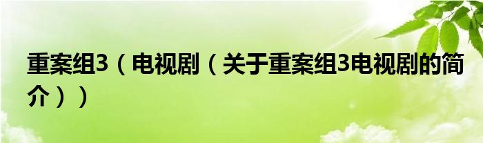 重案組3（電視?。P(guān)于重案組3電視劇的簡(jiǎn)介））