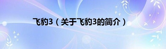 飛豹3（關(guān)于飛豹3的簡(jiǎn)介）