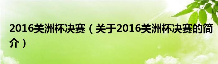 2016美洲杯決賽（關于2016美洲杯決賽的簡介）