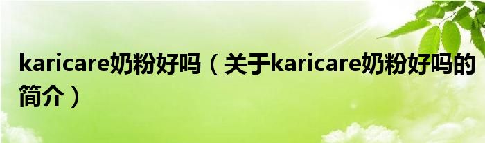 karicare奶粉好嗎（關(guān)于karicare奶粉好嗎的簡介）