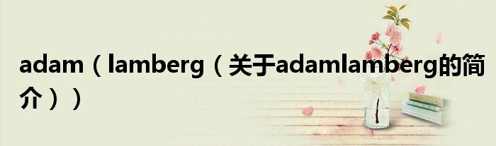 adam（lamberg（關(guān)于adamlamberg的簡介））