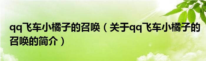 qq飛車(chē)小橘子的召喚（關(guān)于qq飛車(chē)小橘子的召喚的簡(jiǎn)介）