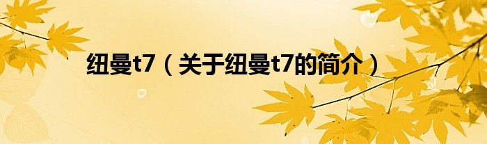 紐曼t7（關(guān)于紐曼t7的簡(jiǎn)介）