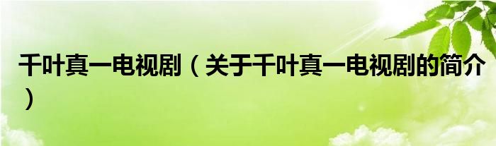 千葉真一電視?。P(guān)于千葉真一電視劇的簡(jiǎn)介）