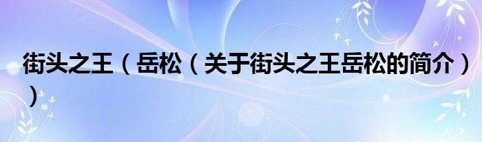 街頭之王（岳松（關(guān)于街頭之王岳松的簡介））