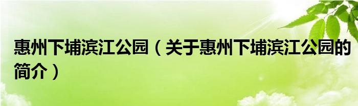 惠州下埔濱江公園（關(guān)于惠州下埔濱江公園的簡介）