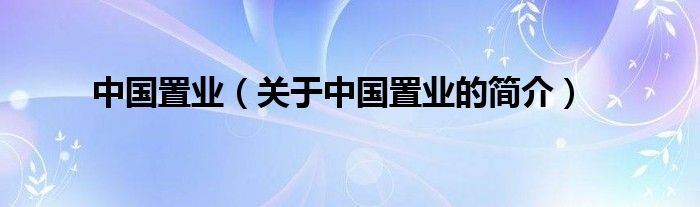 中國(guó)置業(yè)（關(guān)于中國(guó)置業(yè)的簡(jiǎn)介）