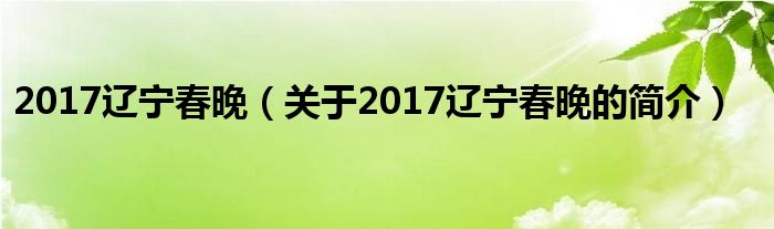 2017遼寧春晚（關(guān)于2017遼寧春晚的簡介）