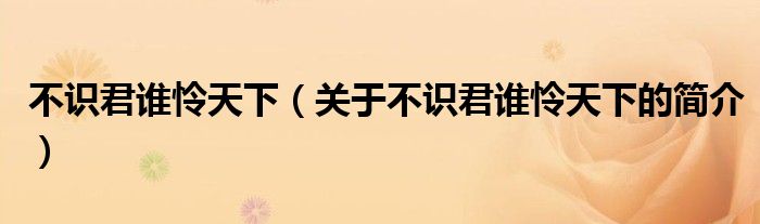 不識(shí)君誰憐天下（關(guān)于不識(shí)君誰憐天下的簡介）