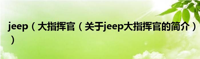 jeep（大指揮官（關(guān)于jeep大指揮官的簡(jiǎn)介））