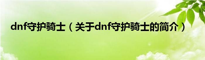 dnf守護(hù)騎士（關(guān)于dnf守護(hù)騎士的簡介）