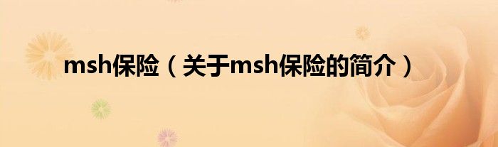 msh保險（關(guān)于msh保險的簡介）